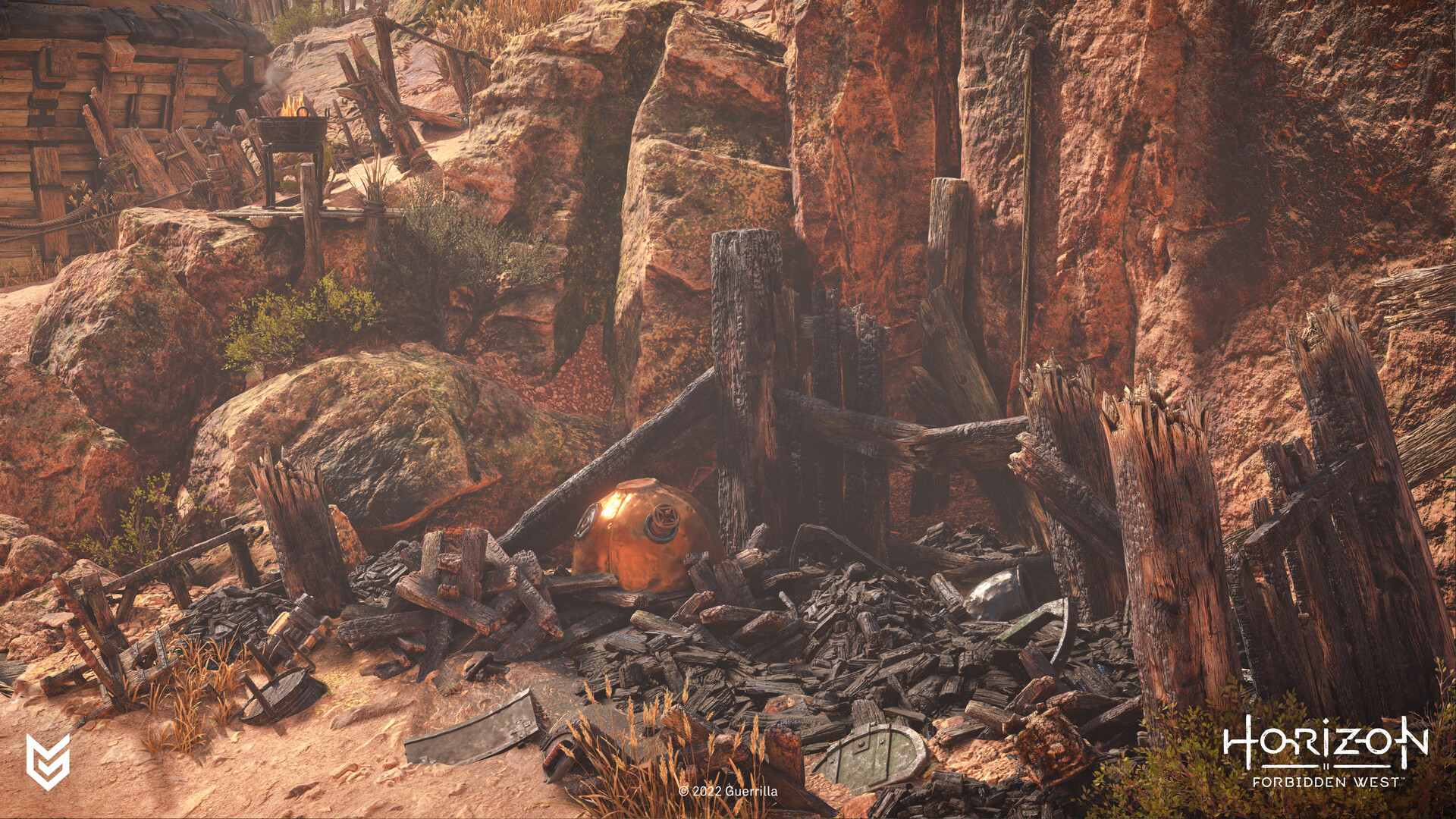 Peter Wano - Horizon Forbidden West - Burnt Wood Texture