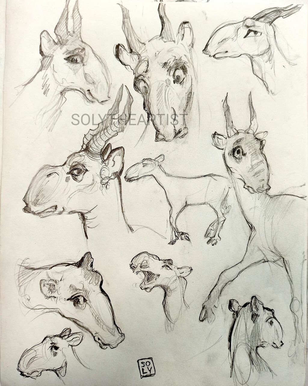 ArtStation - Saigas