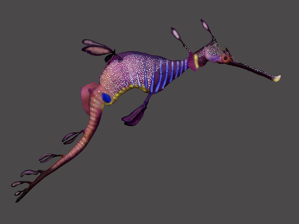 Sea Dragon polypainted and  rendered in ZBrush