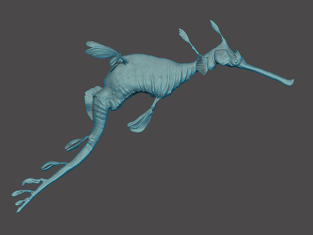 Sea Dragon rendered in ZBrush