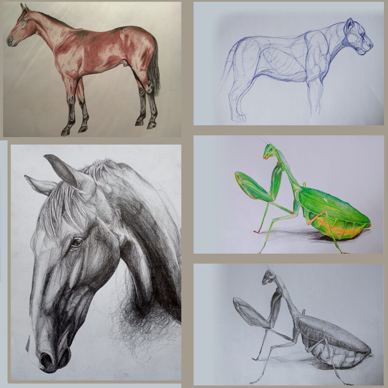 Sketches