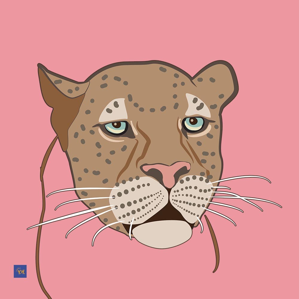 ArtStation - Heads of Big Cats: Cougar, Cheetah, Leopard, Puma