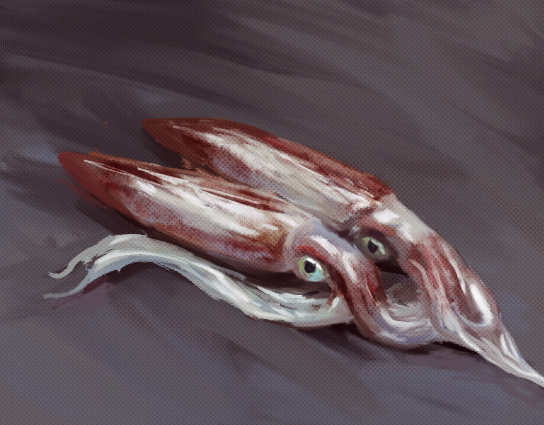 ArtStation - squid