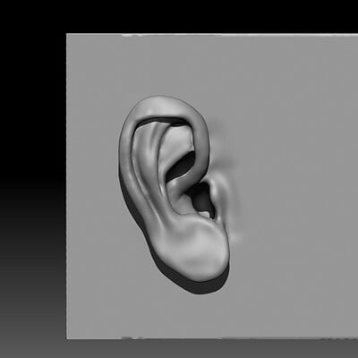 gurvinder sekhon ear