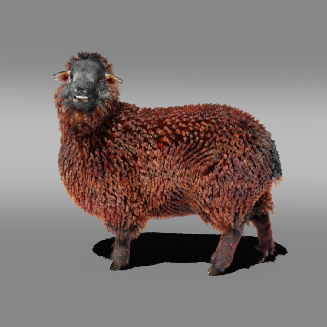 artstation-fur-sheep-rigged-in-blender