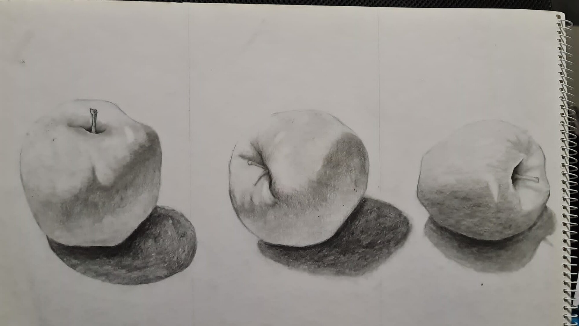 ArtStation Apples Observational Drawing