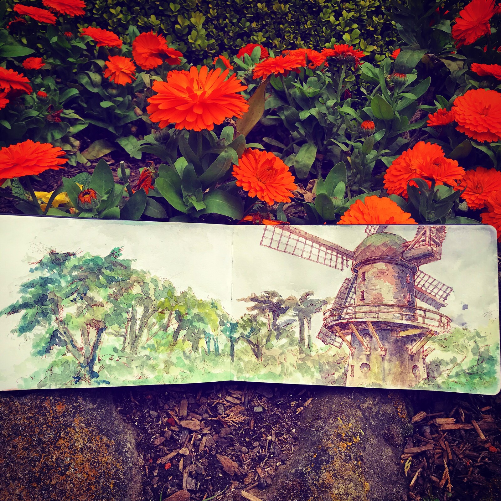 Watercolor Journal Collection