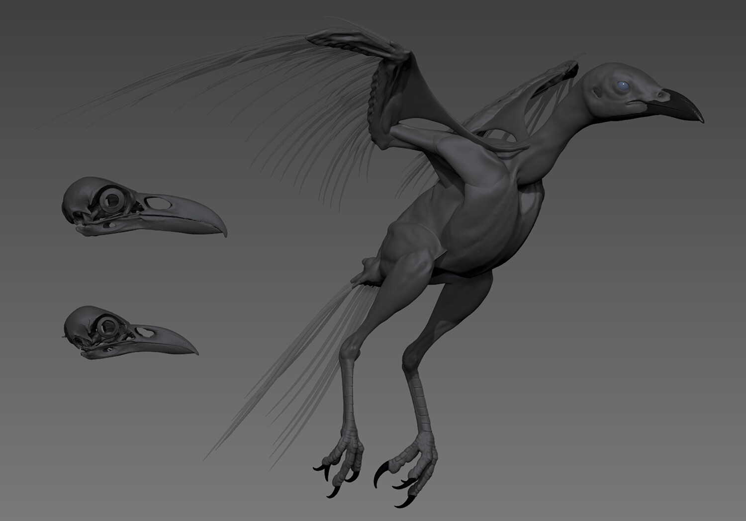 MEN 2021 (Featherless Crow Model for the Resin Printing process)