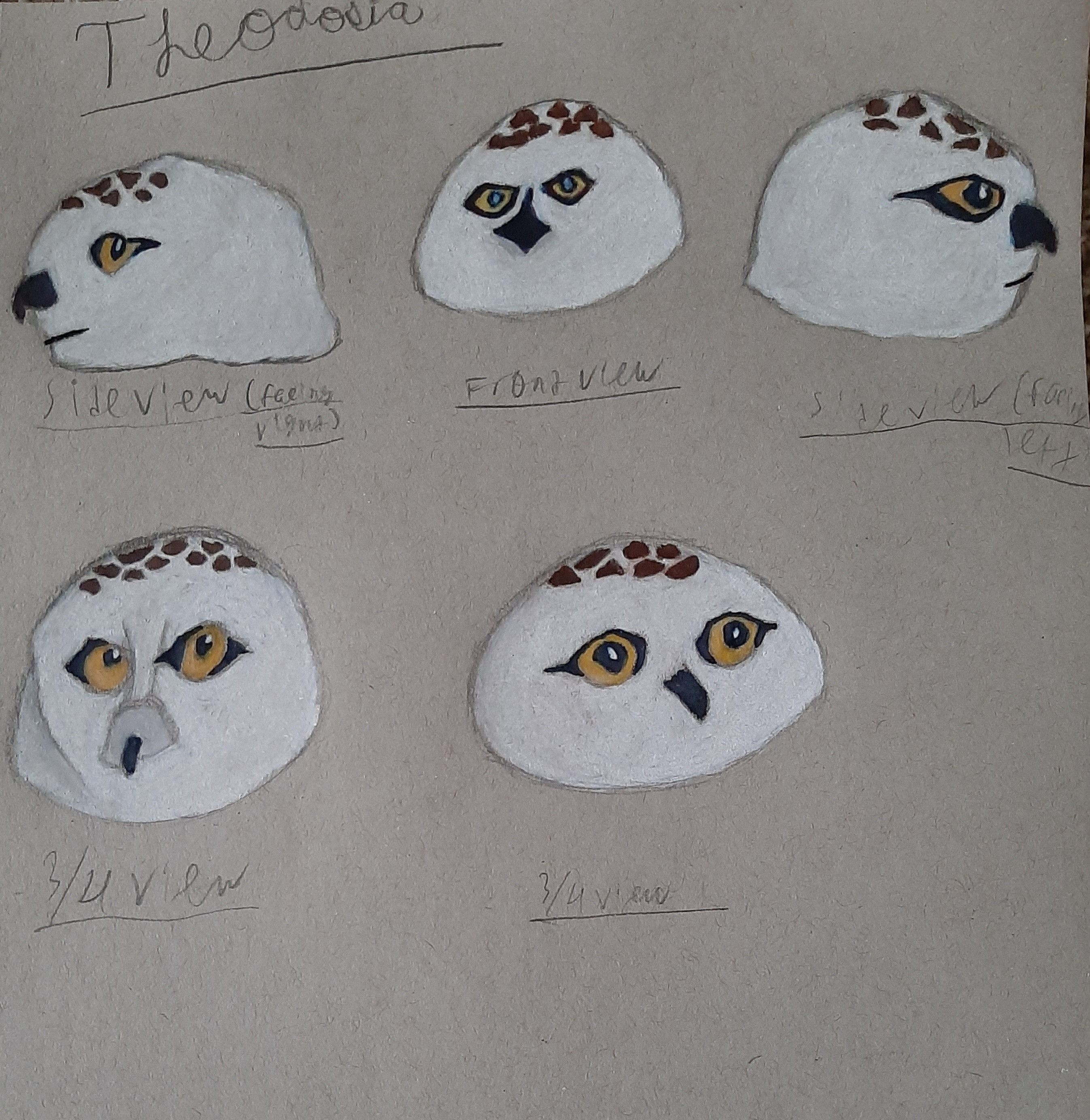 Headshots. Played with different shape language.