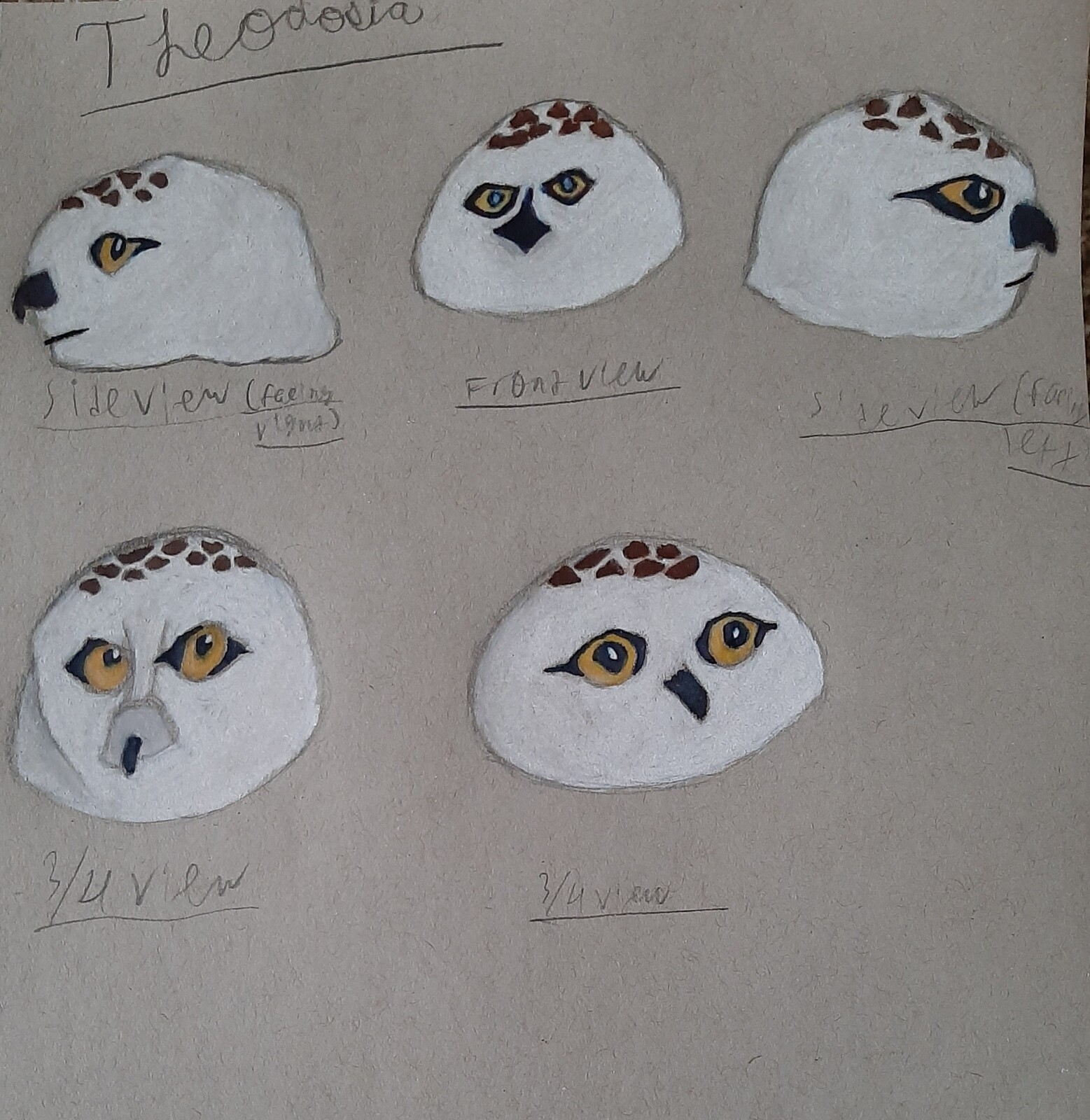 Headshots. Played with different shape language.