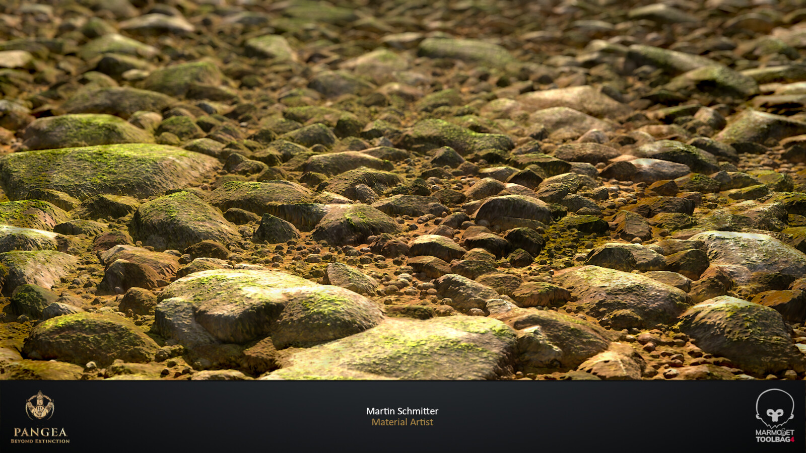 Riverbed Dry Plane Closeup Render