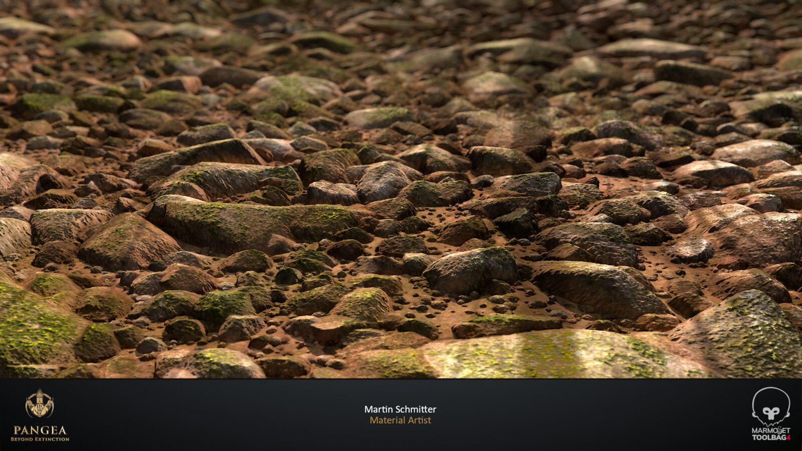 Riverbed Wet Plane Closeup Render