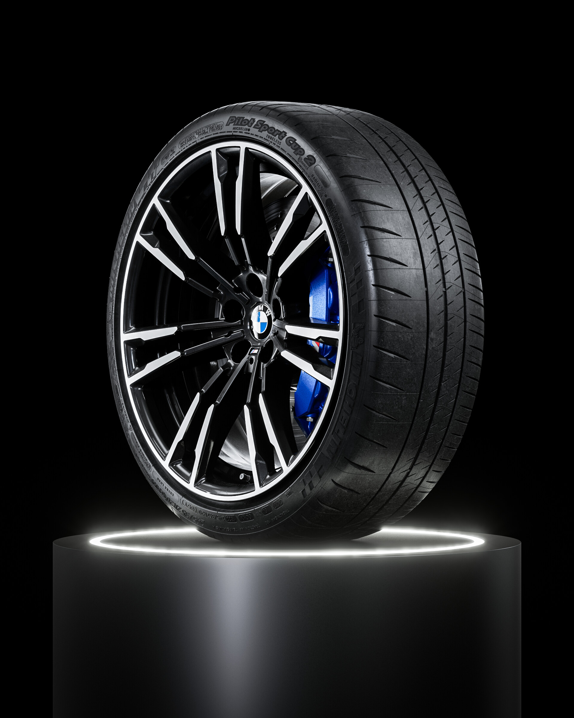 ArtStation - MICHELIN Pilot® Sport Cup 2 • Front: 245/35ZR20 95Y 