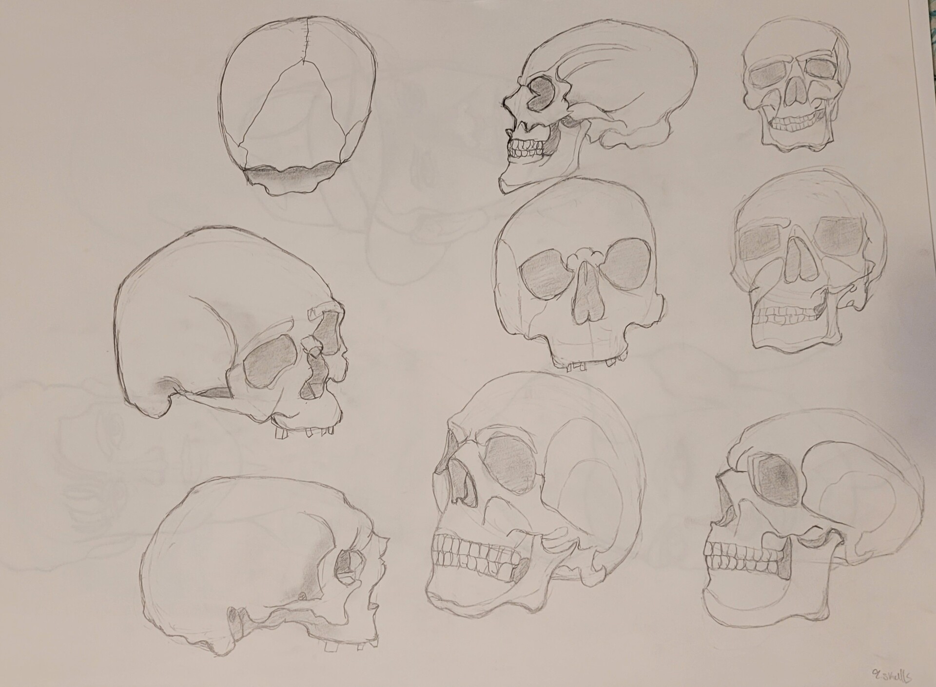 Caitlyn Fournier - Skull Practice