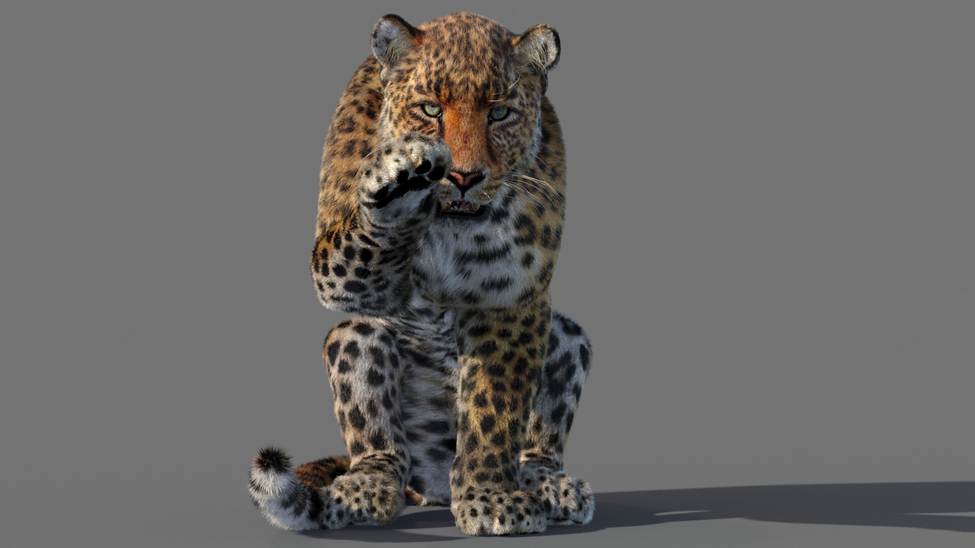 ArtStation - Leopard 3D model Animated Fur