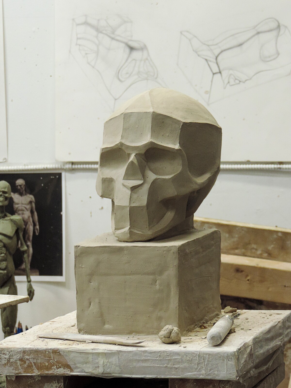 PLANES OF HUMAN SKULL STUDY (ANATOMY)