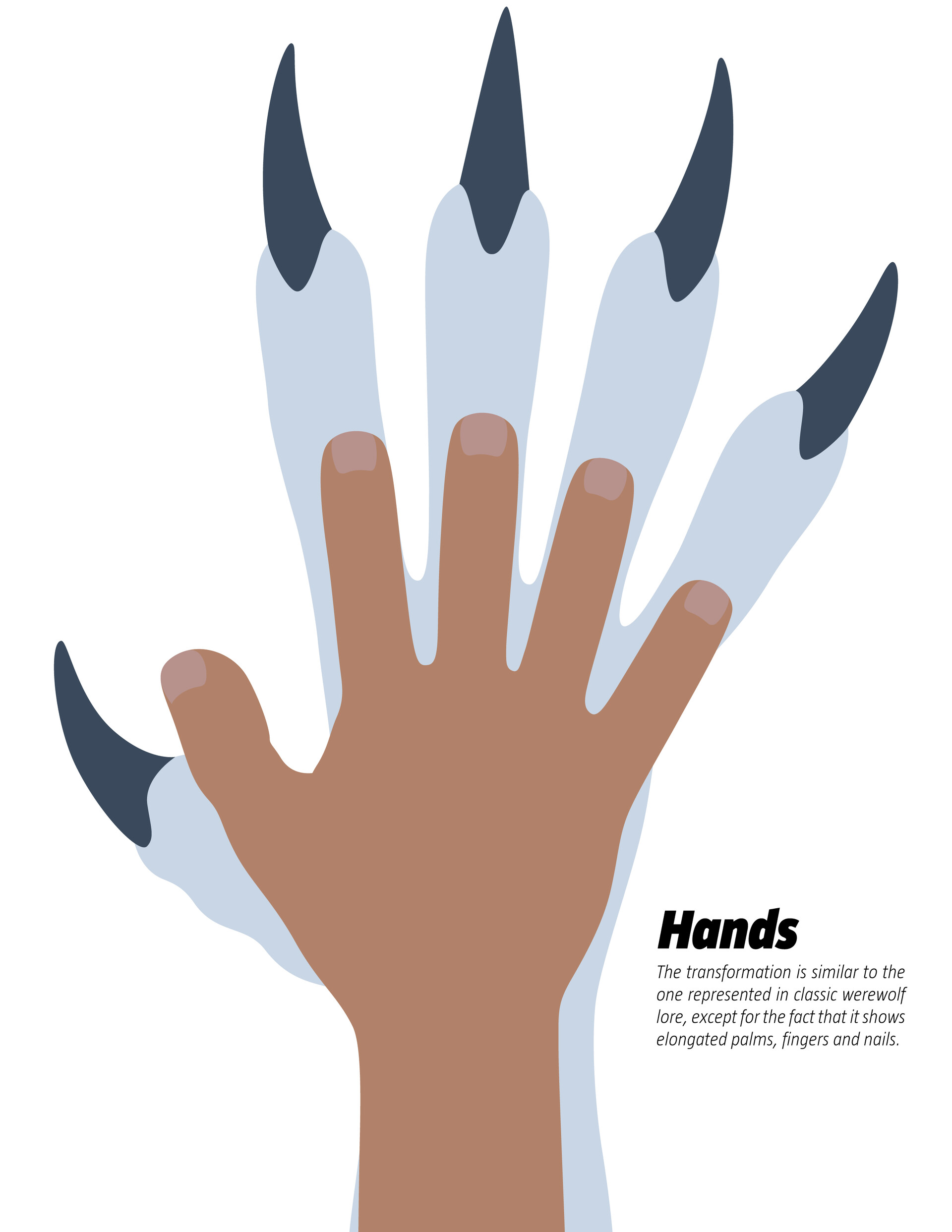 Werewolf hands on sale
