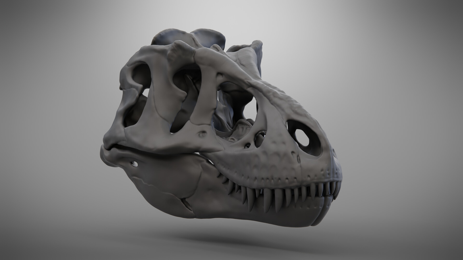 Artstation tyrannosaurus rex skull