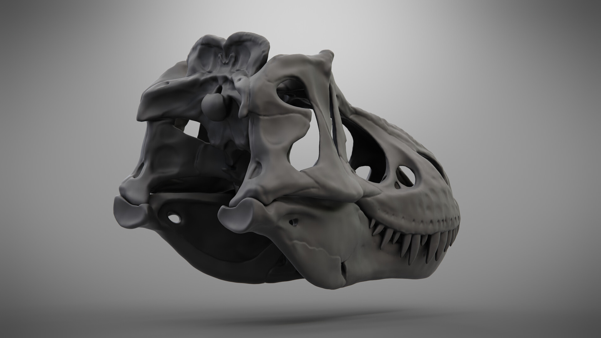 Oakyere tyrannosaurus rex skull