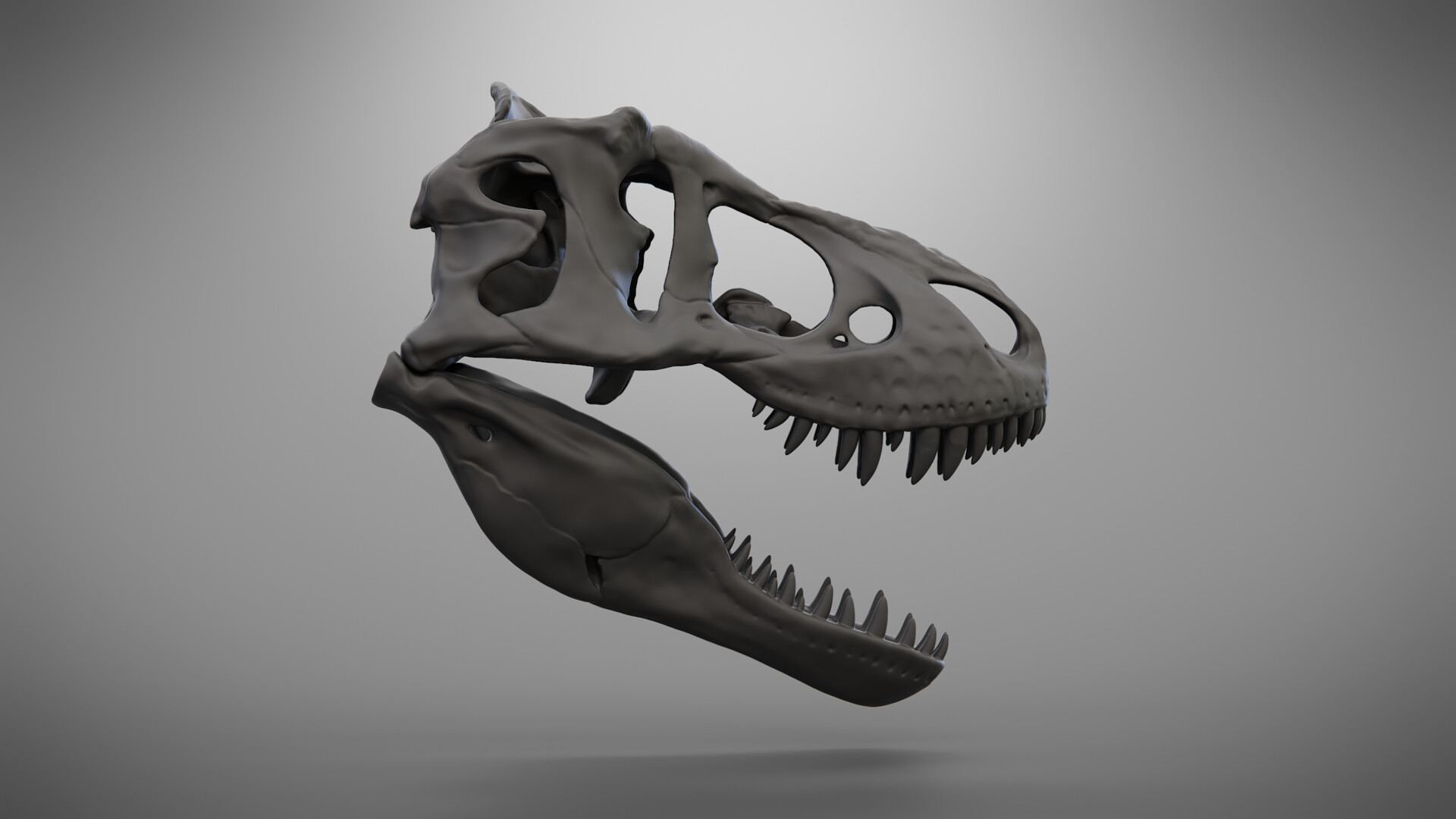 Skull t rex 3d model competitive price www oceanproperty co th