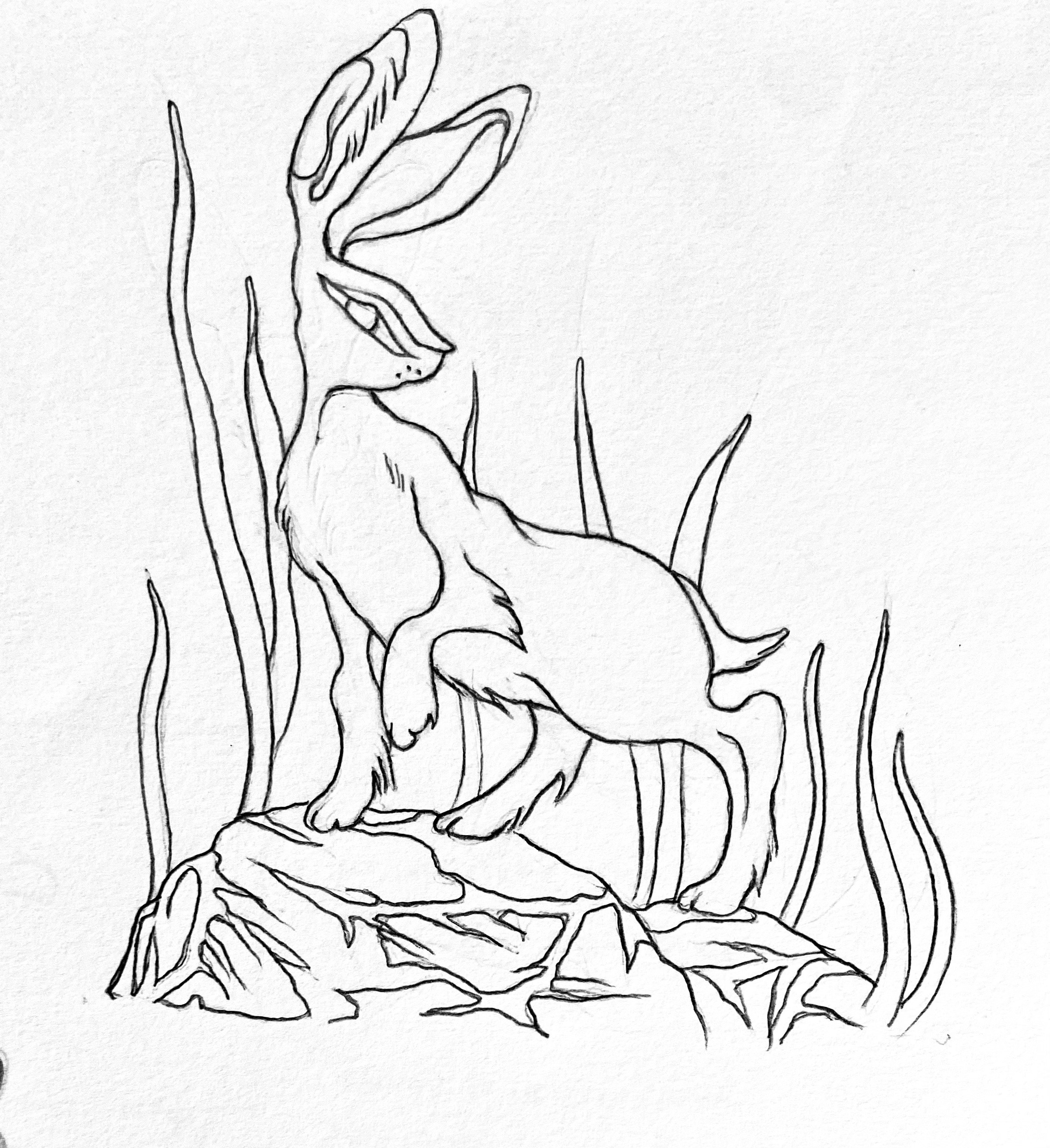 Linework Scan [HARE]