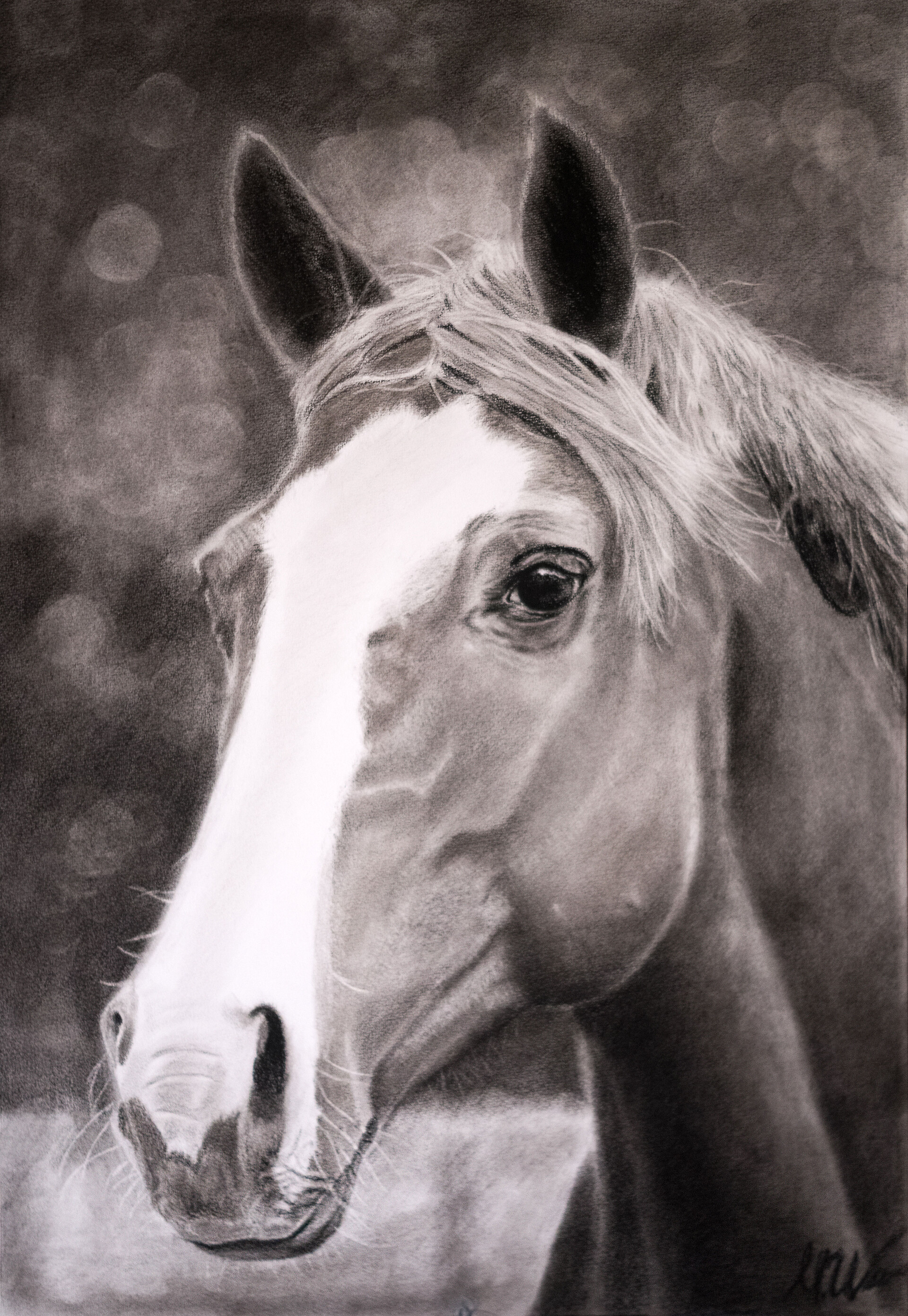 Black Paper Horse Portrait With charcoal chalk