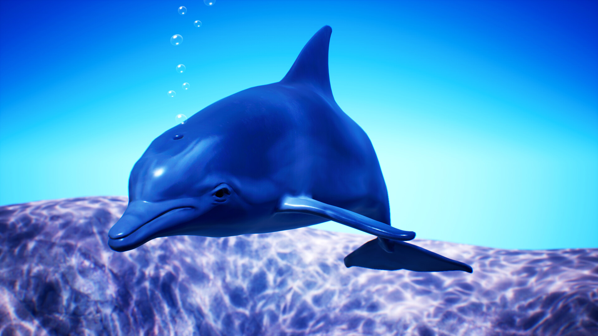 ArtStation - Stylized Dolphin
