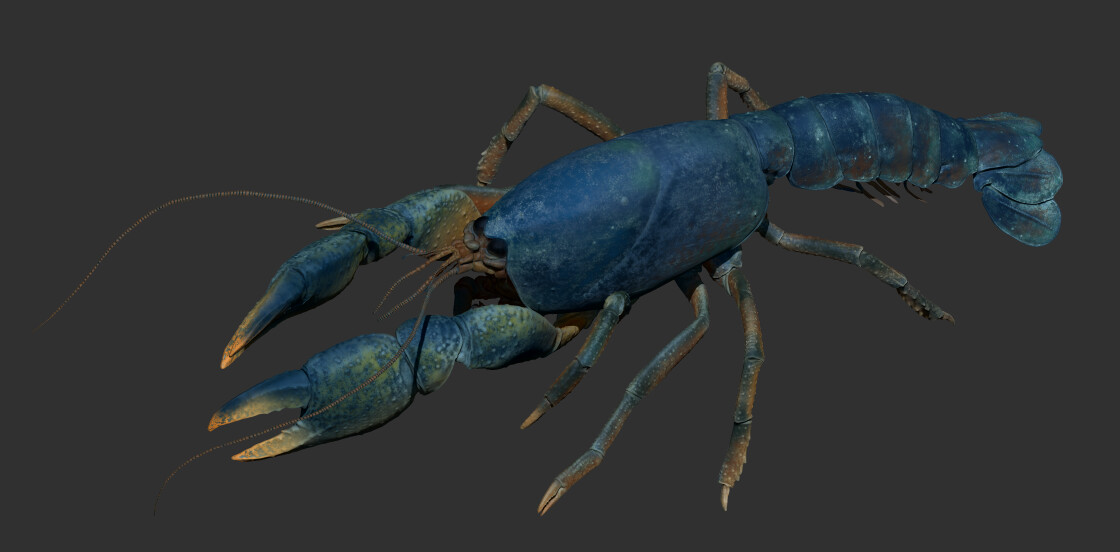 Polypainted crayfish model rendered in ZBrush