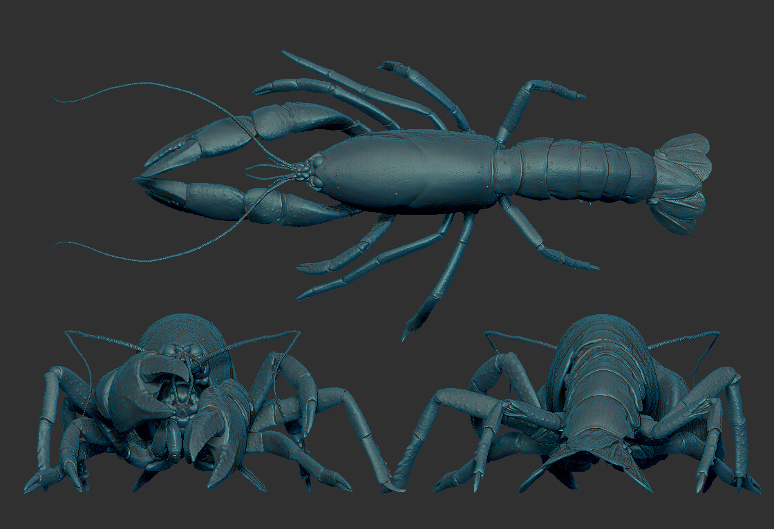 Crayfish model rendered in ZBrush