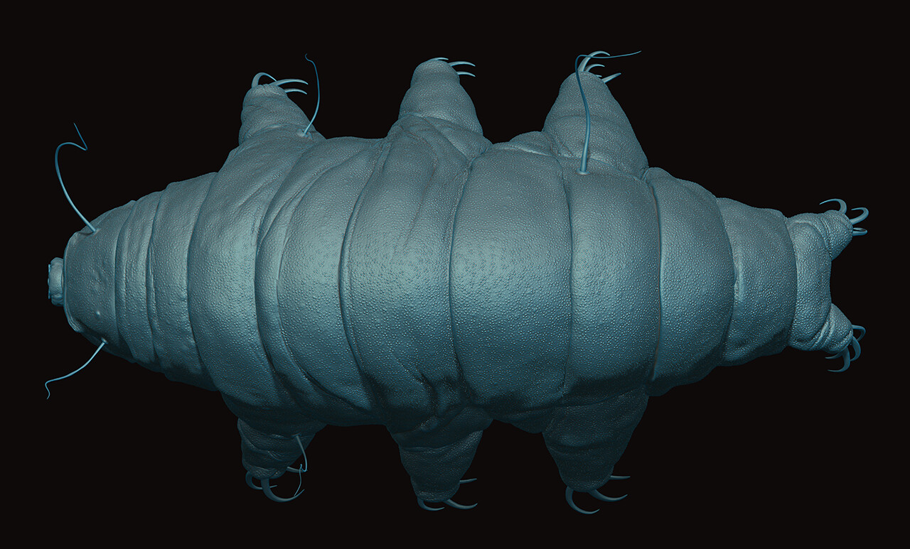 ZBrush render of tardigrade exterior