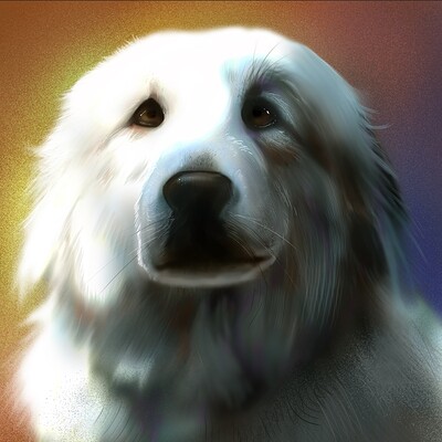Opal - Great Pyrenees Portrait
