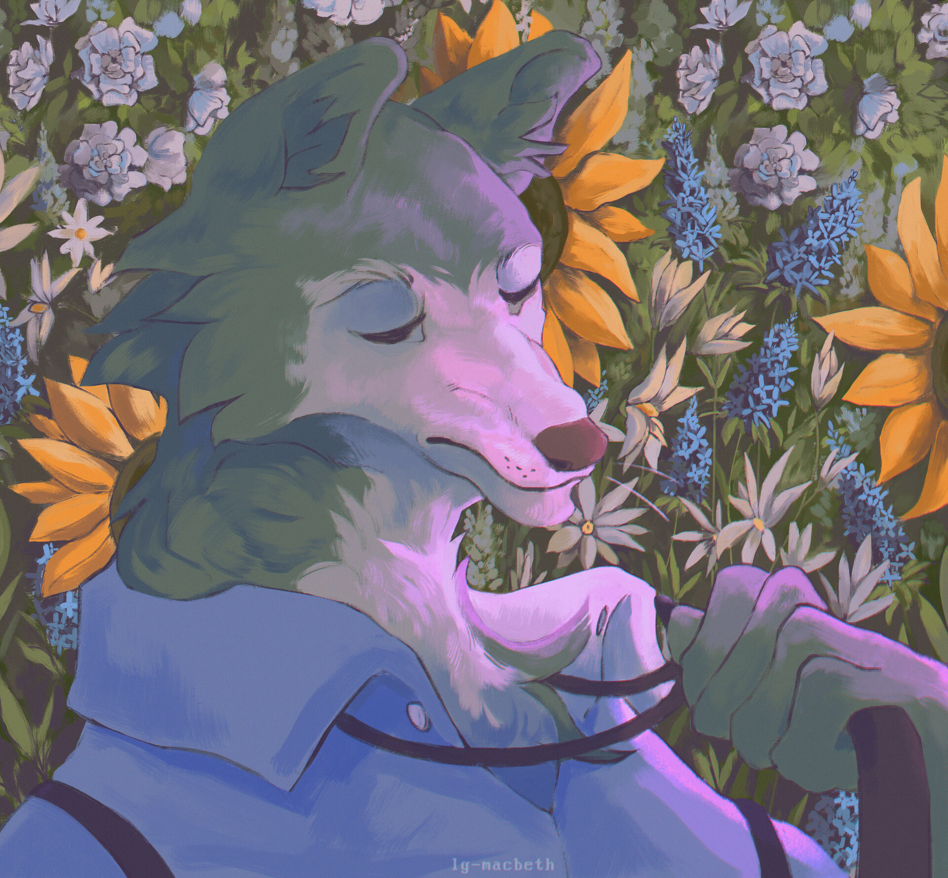 ArtStation - beastars - Legoshi