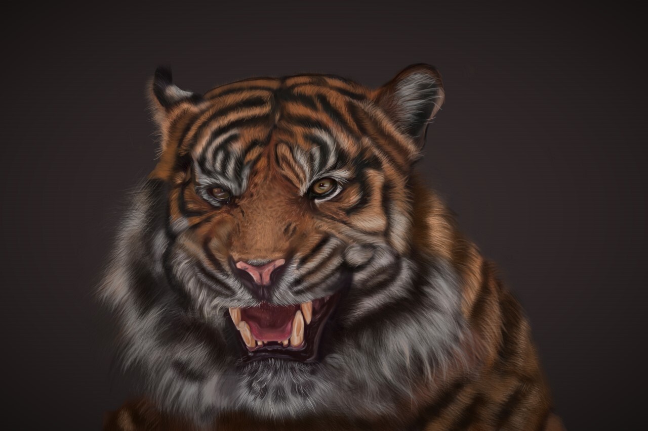 ArtStation - Tiger 2D