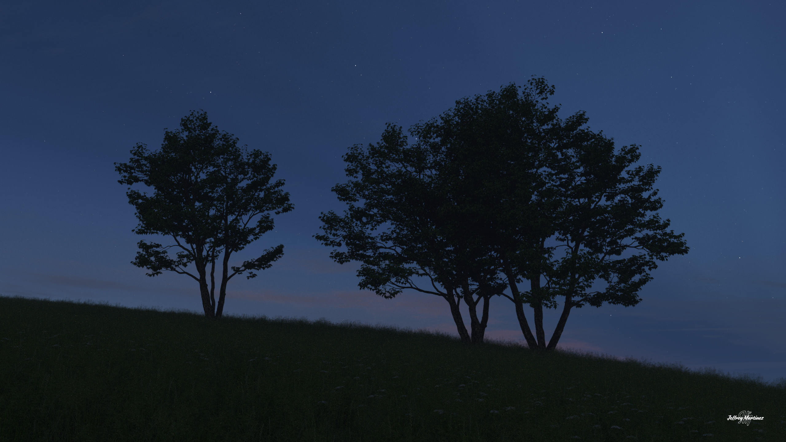 Trees on a Hill - Dawn
20220622TG