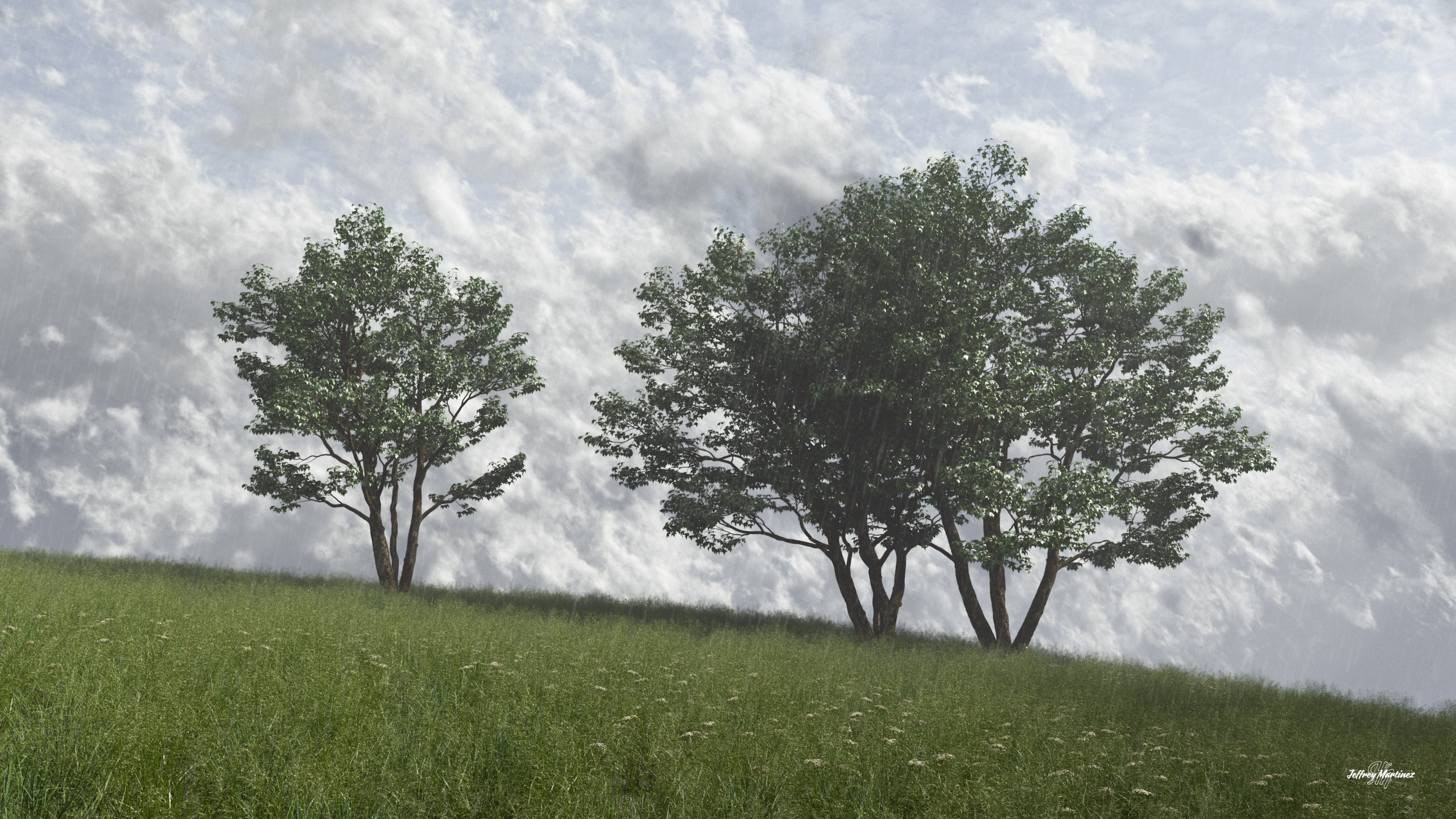 Trees on a Hill - Rain
20220622TG