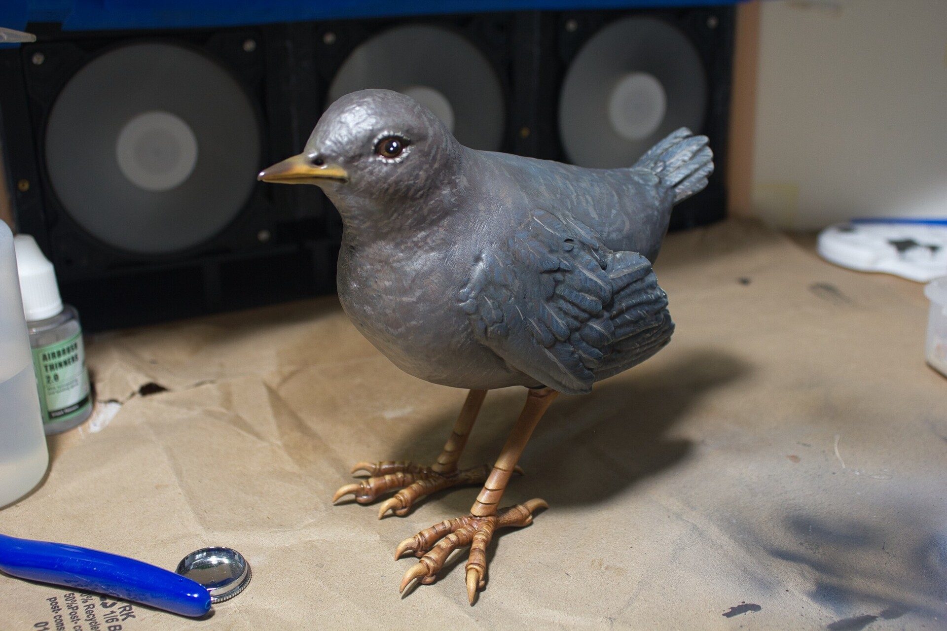 ArtStation Model Dipper Bird (American Dipper)