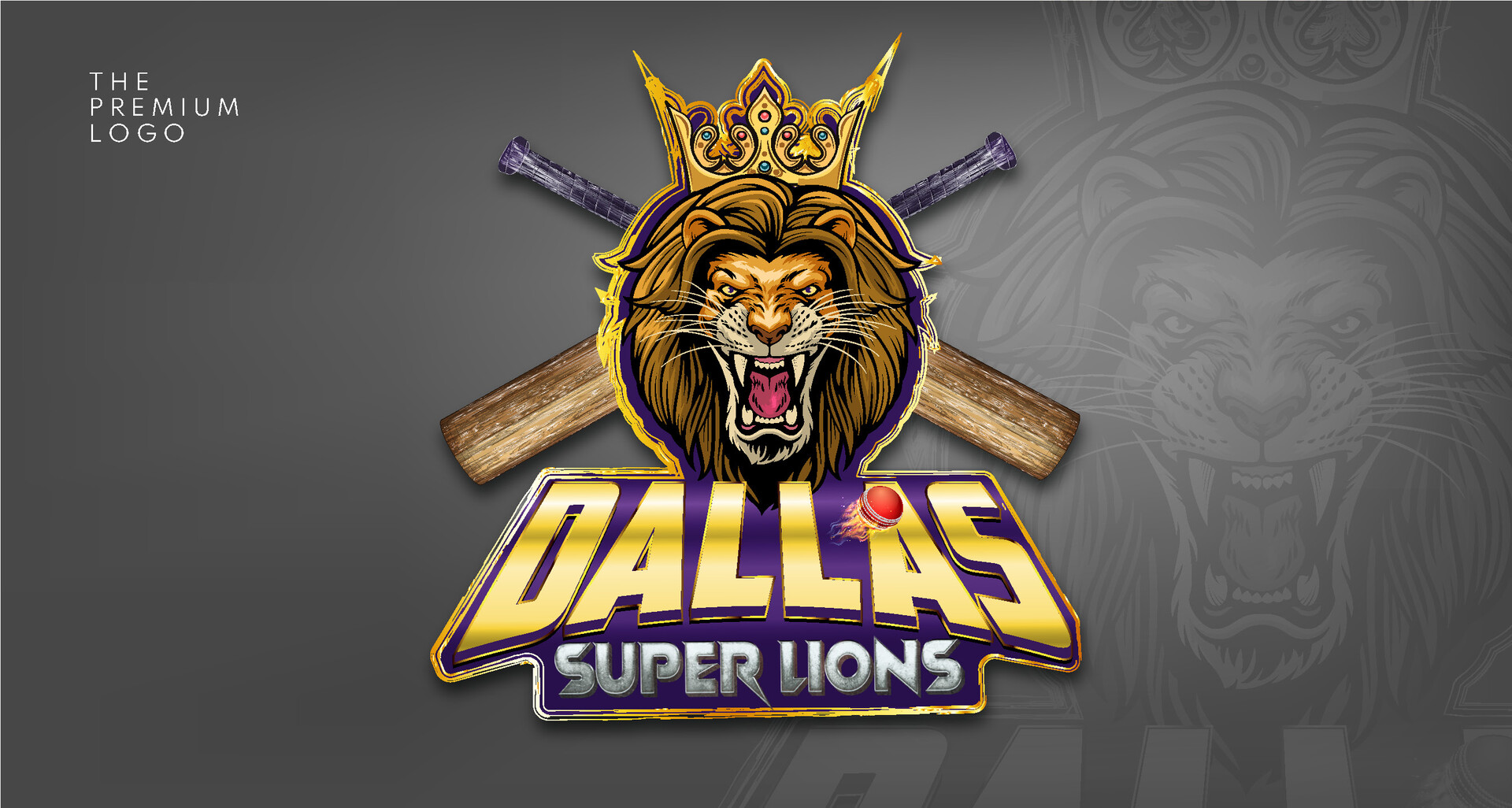 Mohammad nidal khan cricket team dallas super lions logo design