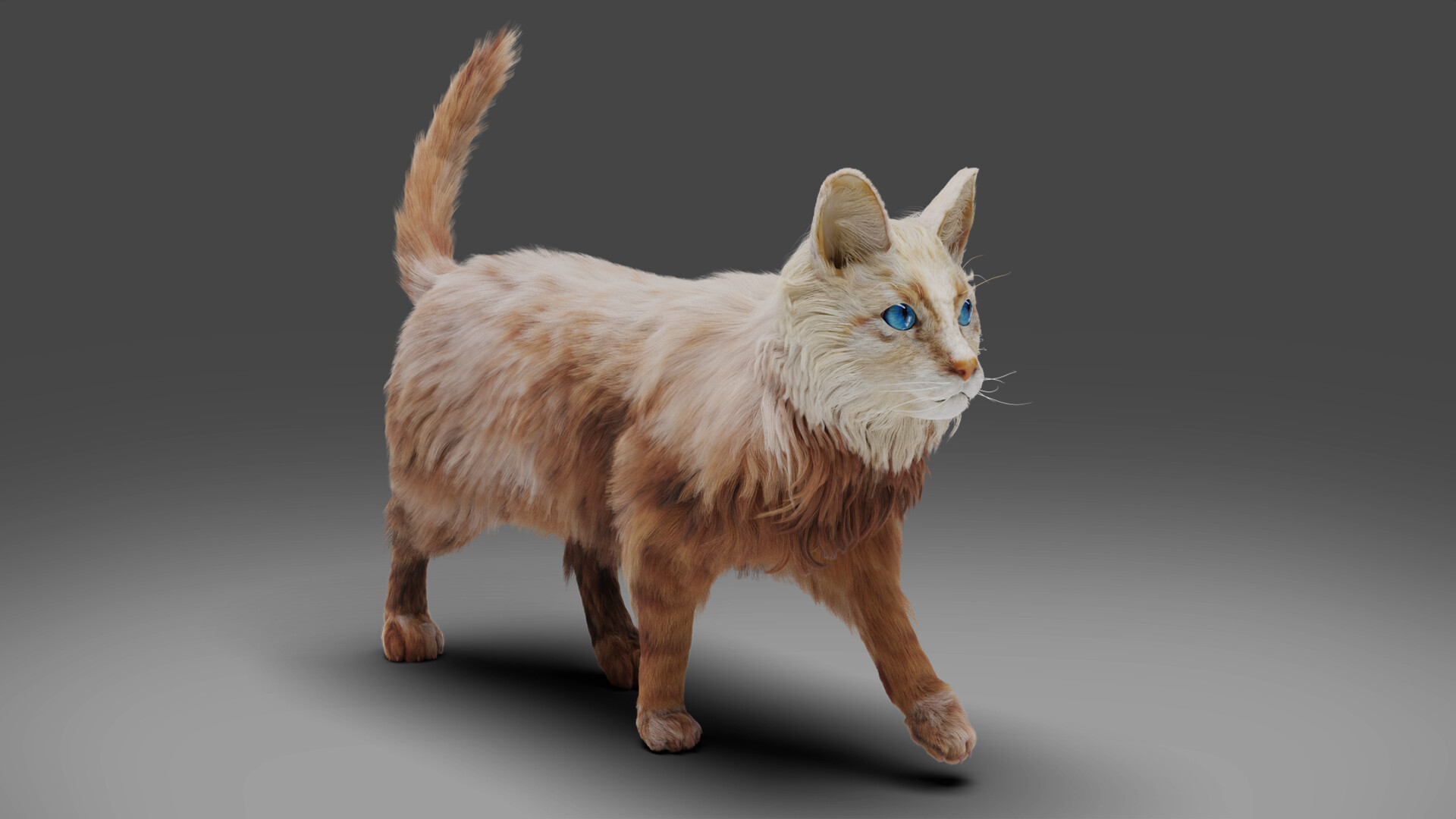 ArtStation - Fur Cat White Rigged and Animated