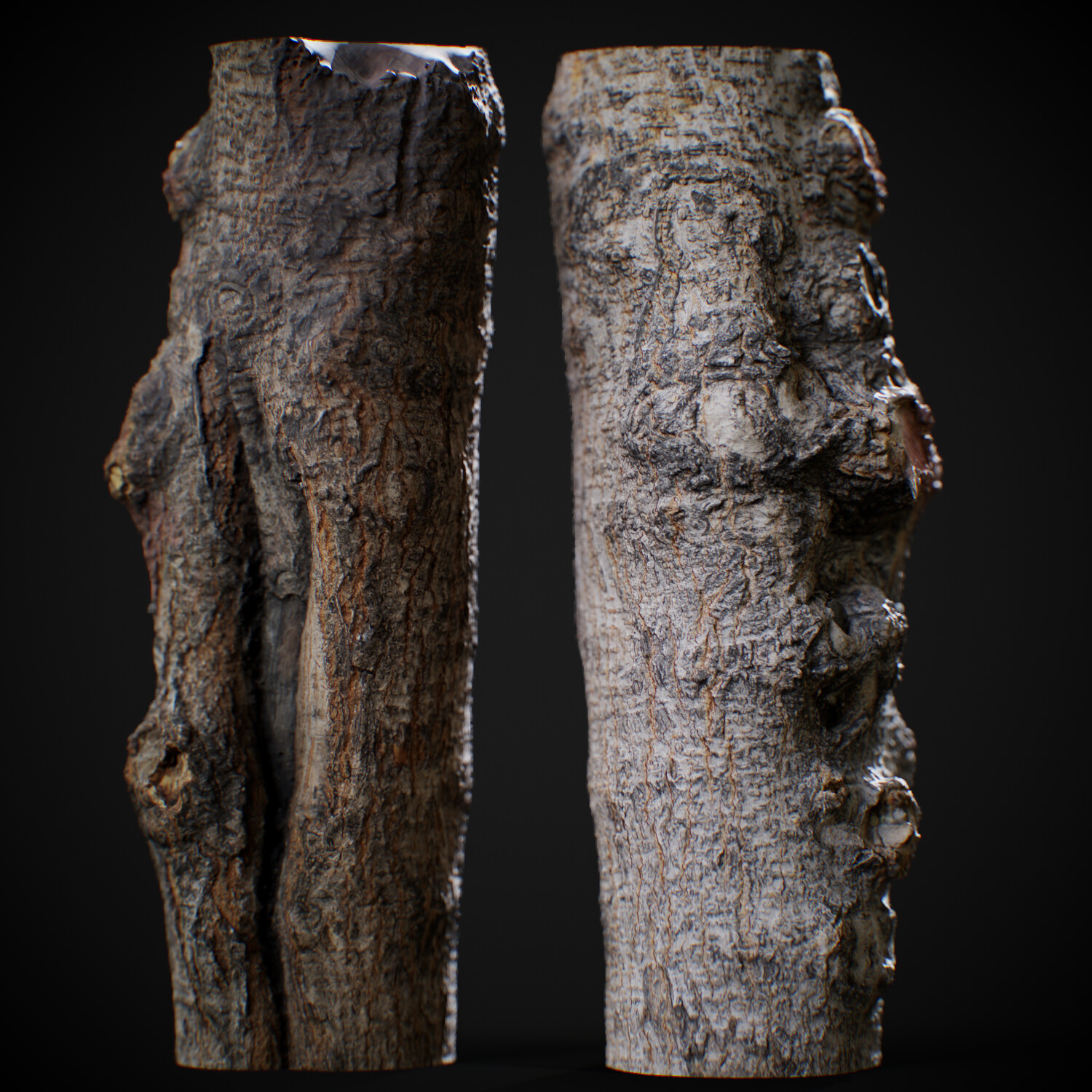High poly form scan model