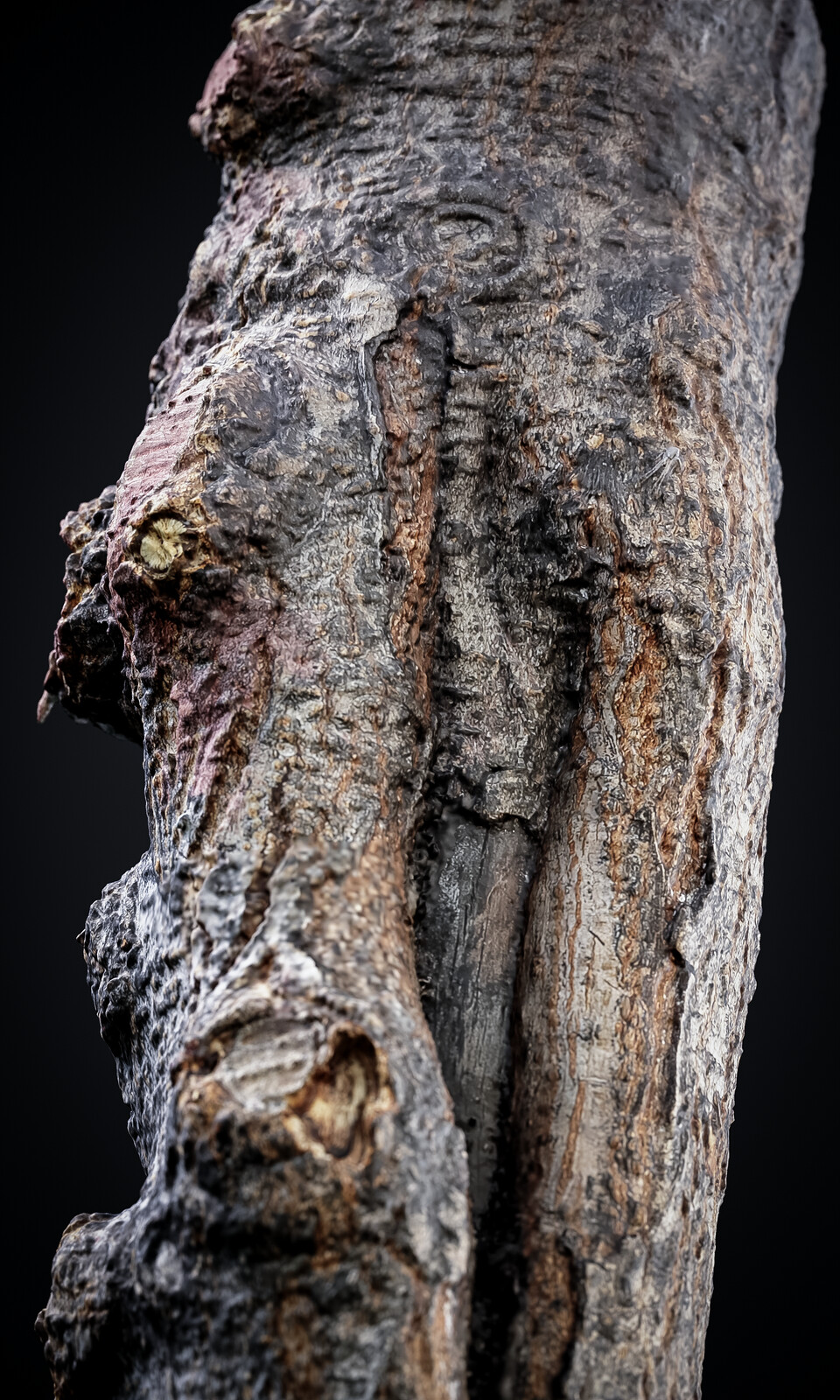 High poly form scan model