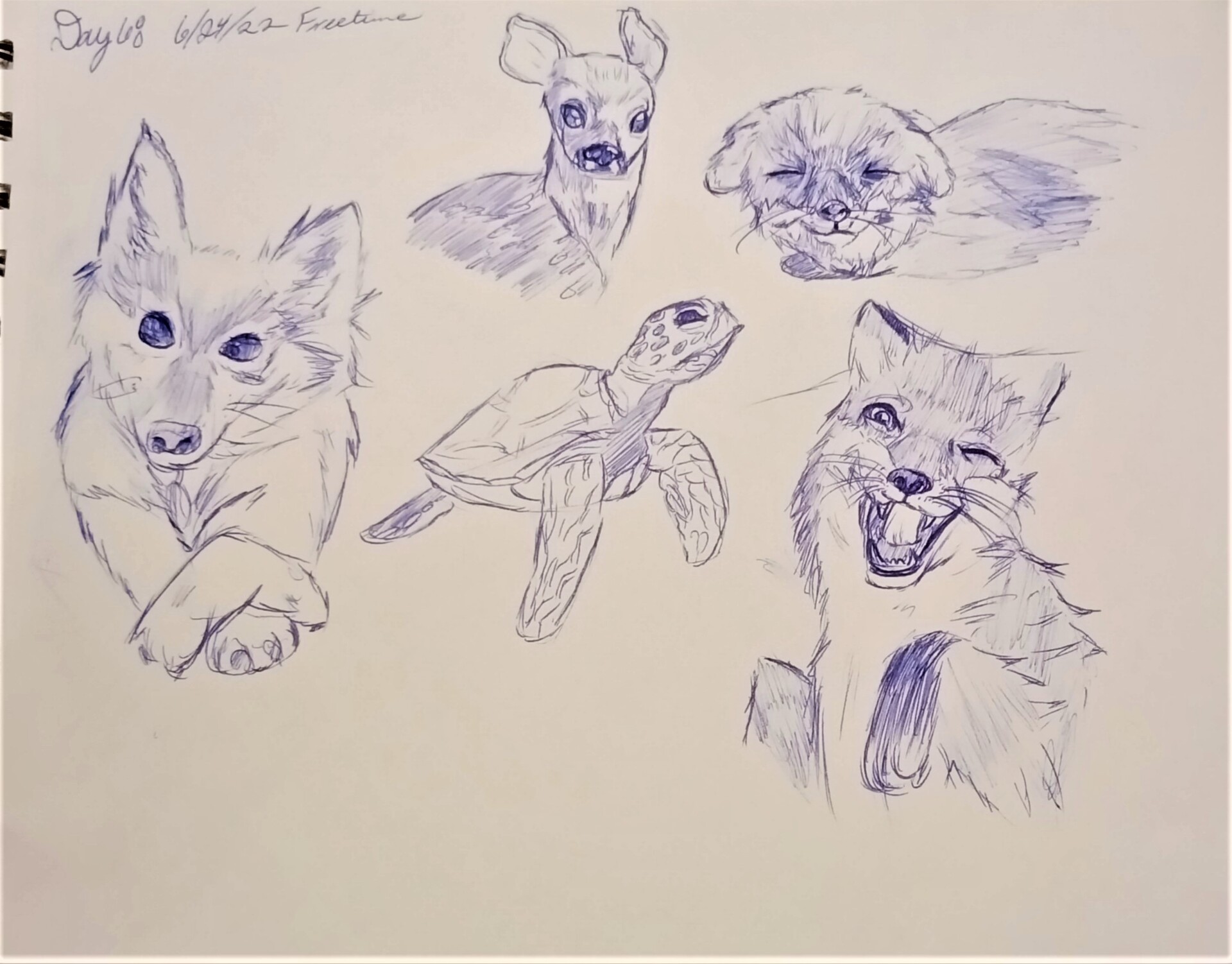 ArtStation Animal Sketches artstation-animal-sketches