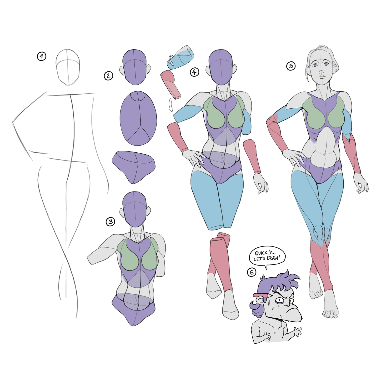 Constructive anatomy breakdown. 