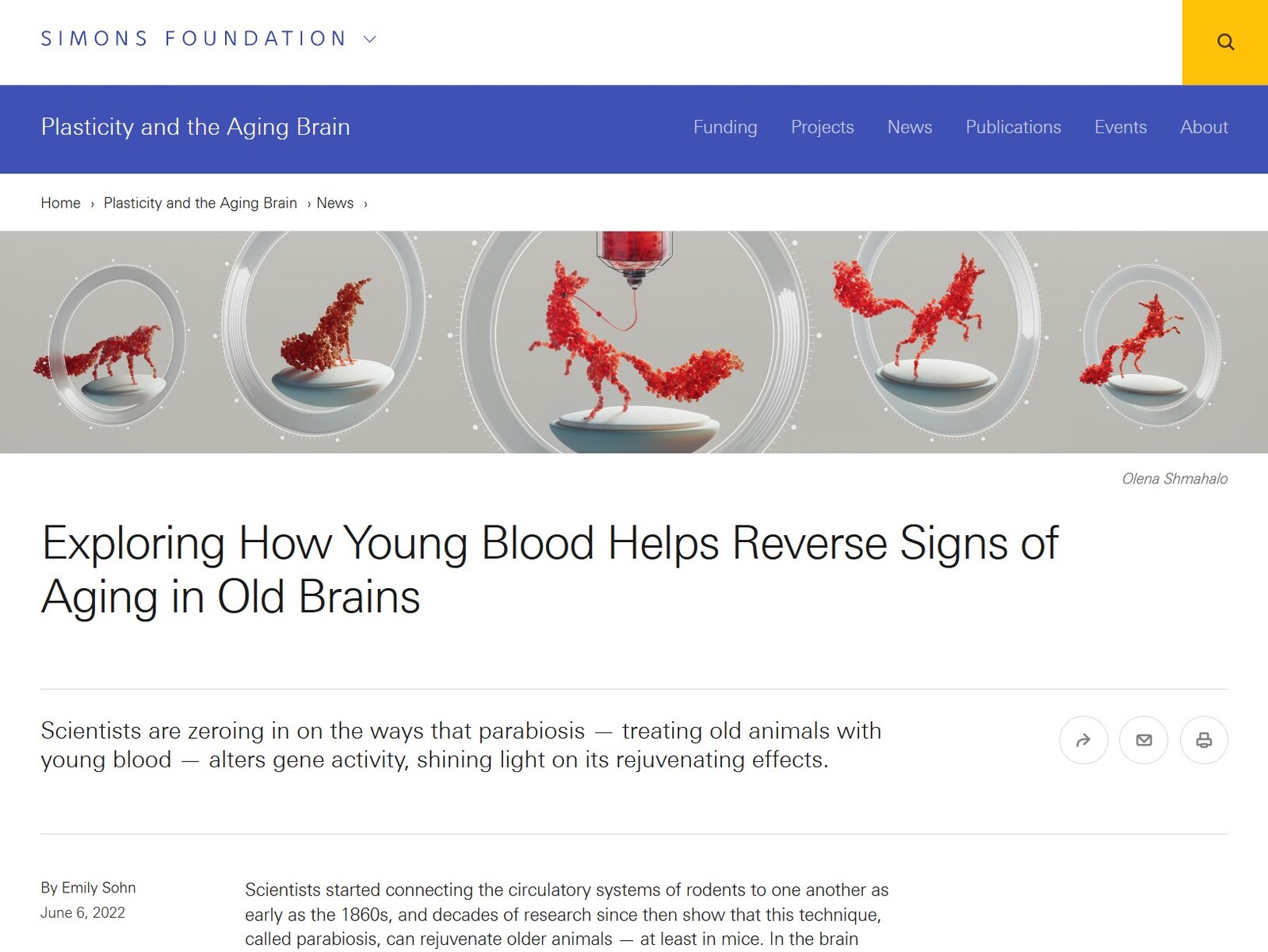 Read the article:
https://tinyurl.com/SFABParabiosis22 

—
