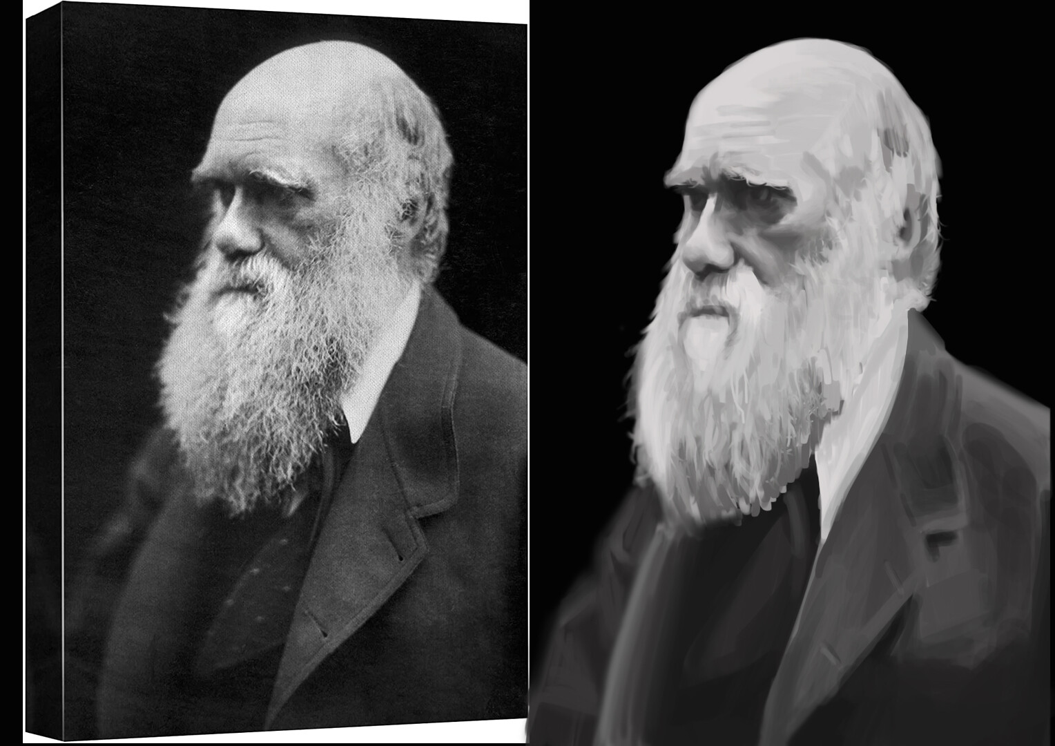 ArtStation - Darwin Portrait Sketch