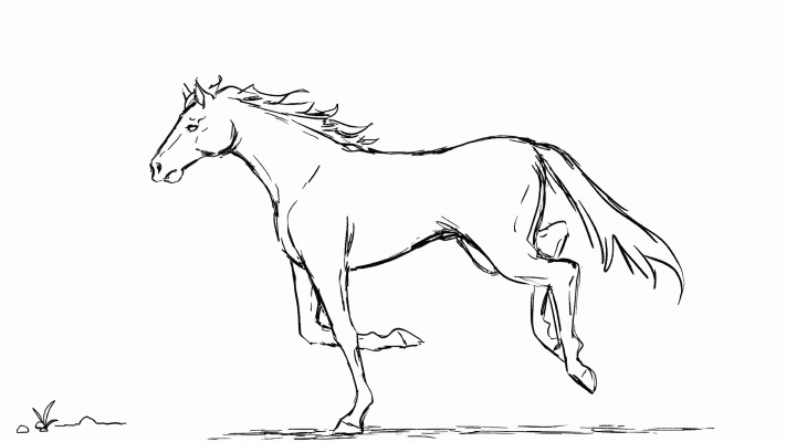 ArtStation - Horse Gallop Animation