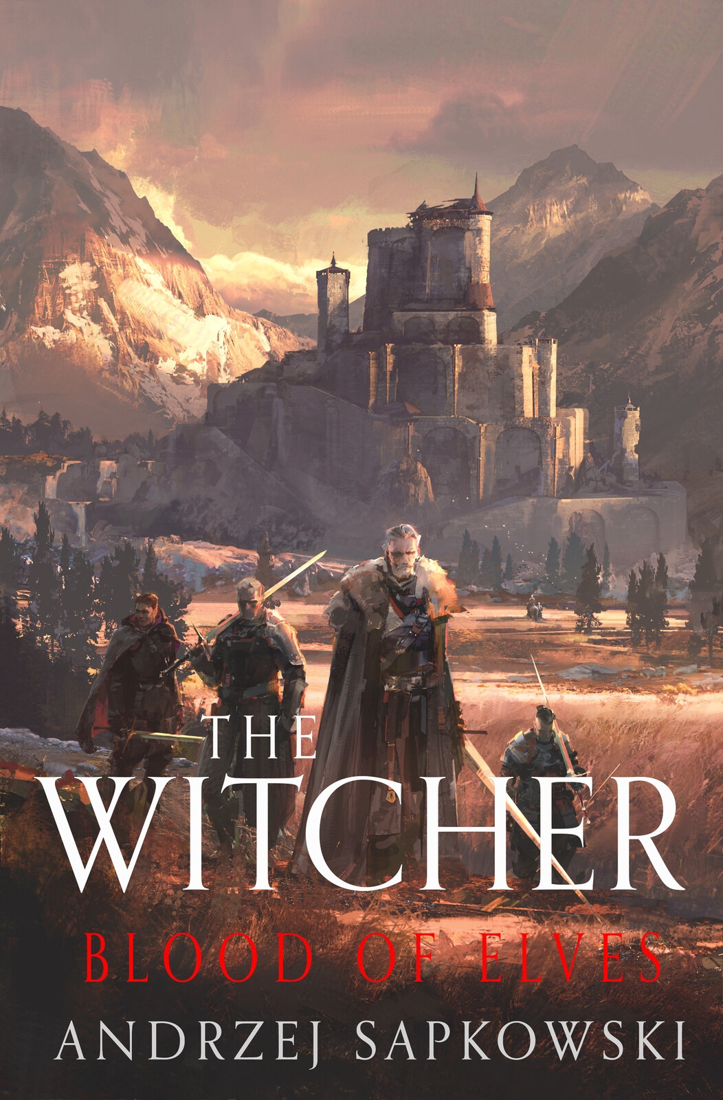 The Witcher Blood of Elves cover art