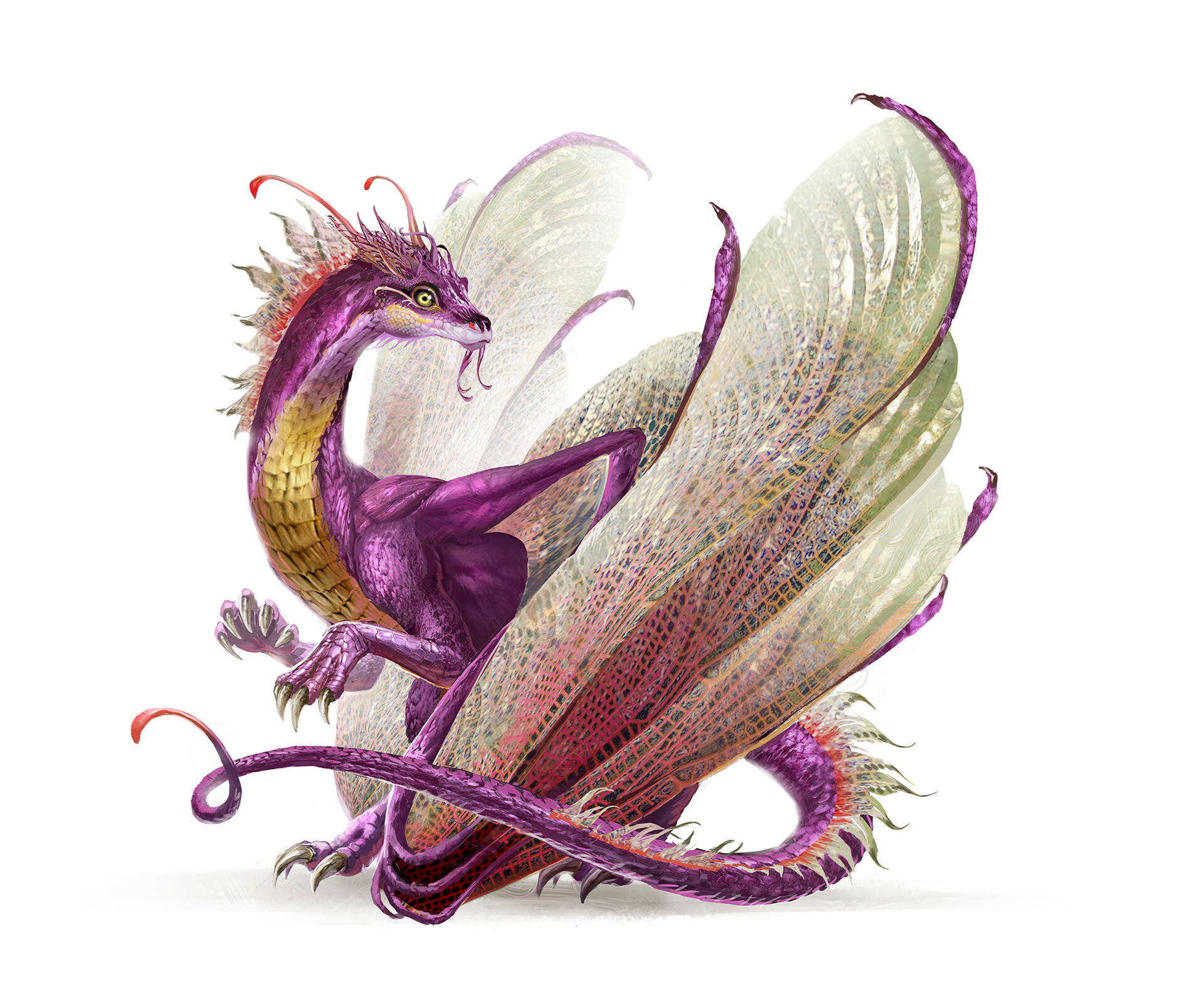 magdalena-katanska-fairy-dragon.jpg