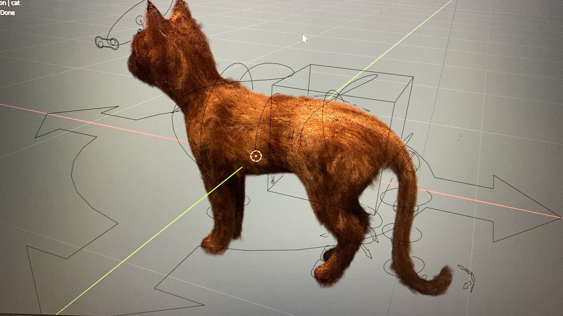 ArtStation - Cat model