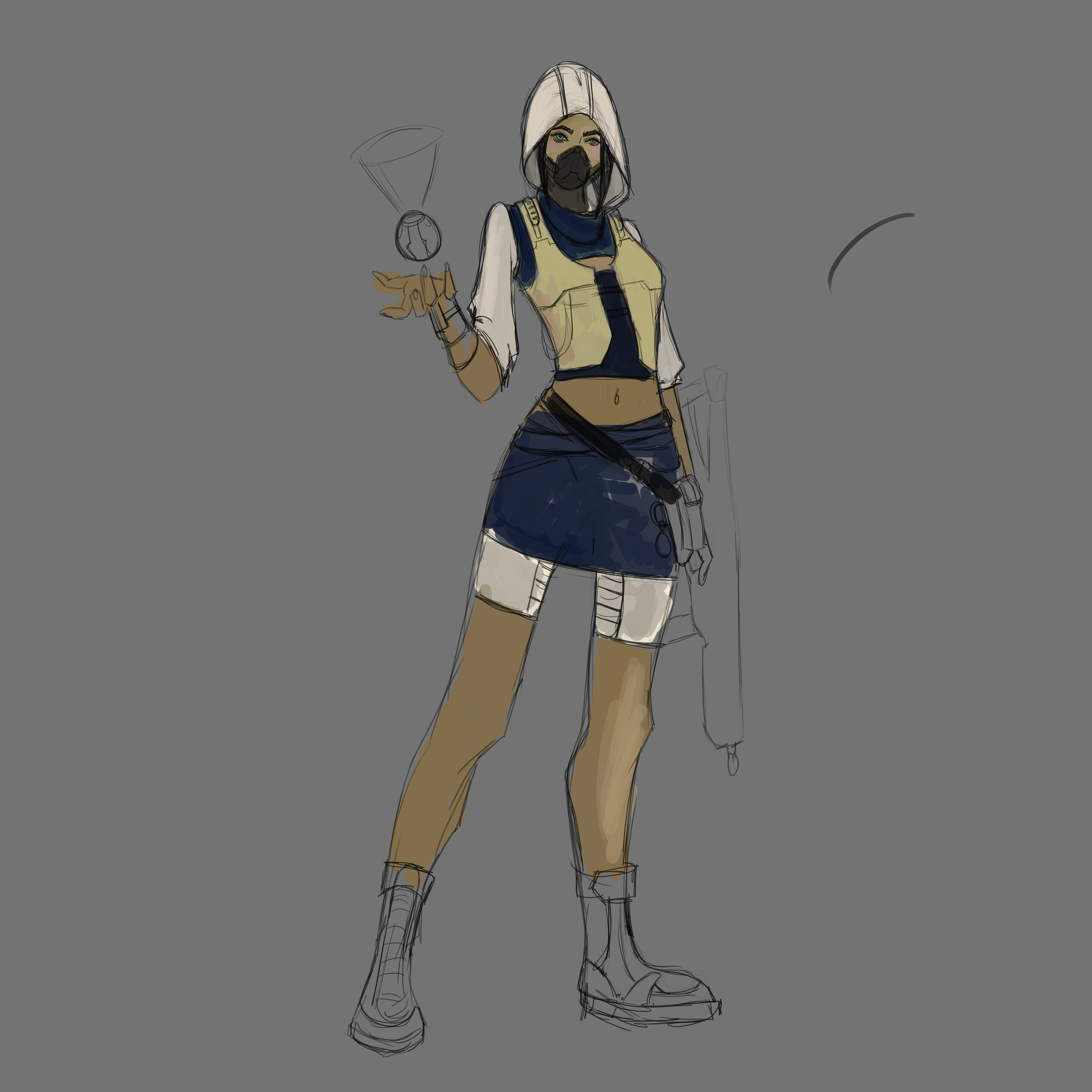 the rough concept for the project