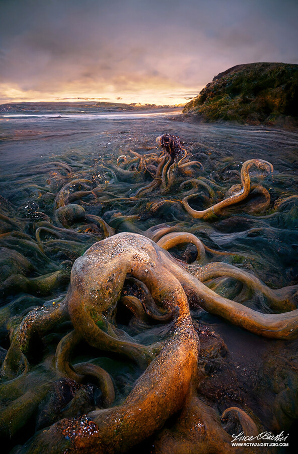 The Thing From The Sea